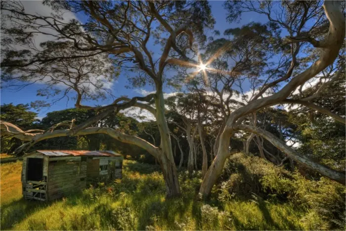 Framed Print : Old Shed in a bushland setting on King Island, Bass Strait, Tasmania, Australia