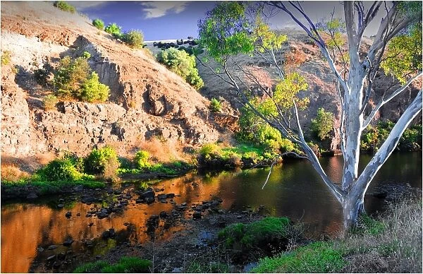 Onkaparinga river gorge, Fleurieu Peninsula South Australia