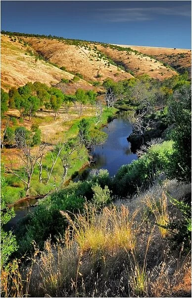 Onkaparinga river gorge, Fleurieu Peninsula South Australia
