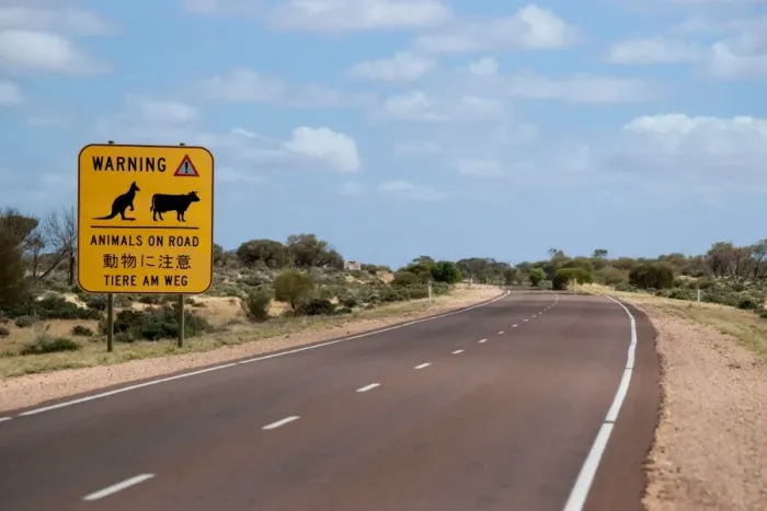 Framed Print : OutBack. A road sign on outback highway (the Stuart Highway) in the Flinders Ranges Framed Print : OutBack. A road sign on outback highway (the Stuart Highway) in the Flinders Ranges