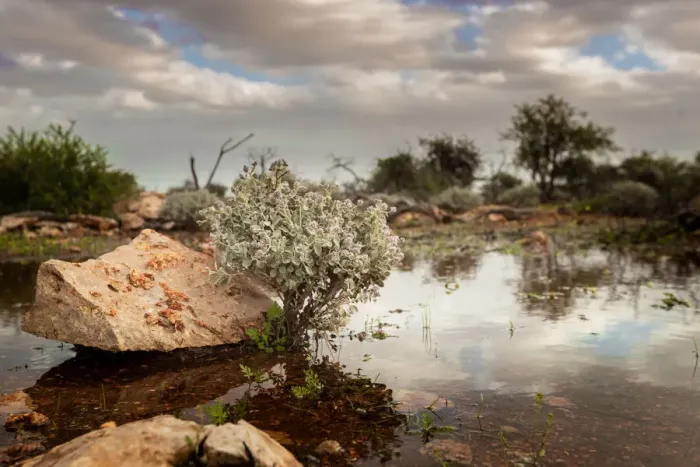 Framed Print : Outback landscape