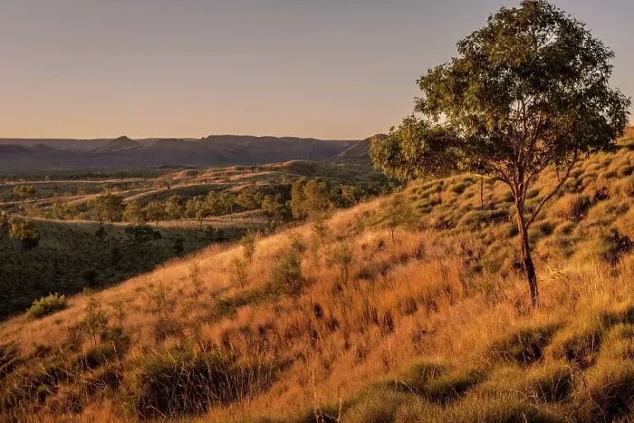 Framed Print : Outback landscape