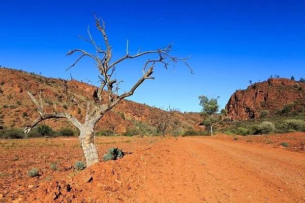 Outback road. Flinders Ranges. Australia