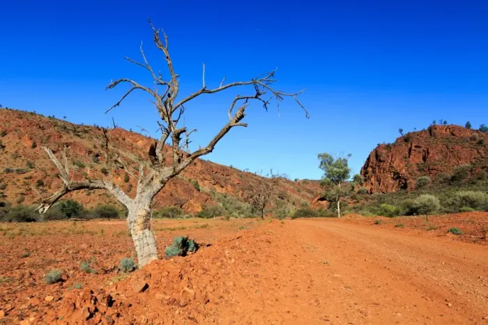 Framed Print : Outback road. Flinders Ranges. Australia Framed Print : Outback road. Flinders Ranges. Australia