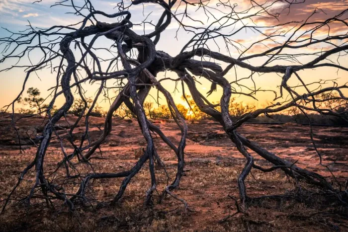 Framed Print : Outback scenery
