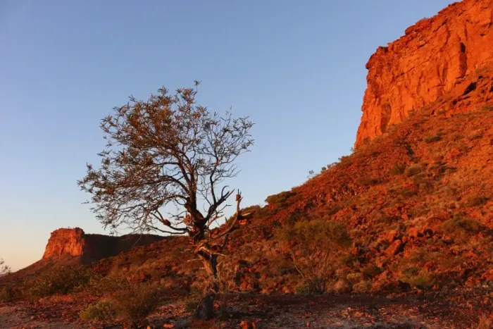 Framed Print : Outback Sunrise
