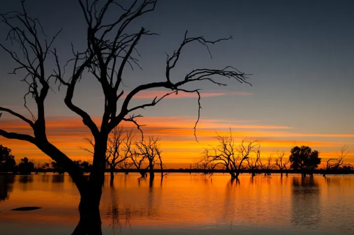 Framed Print : Outback Sunrise over Lake Pinaroo