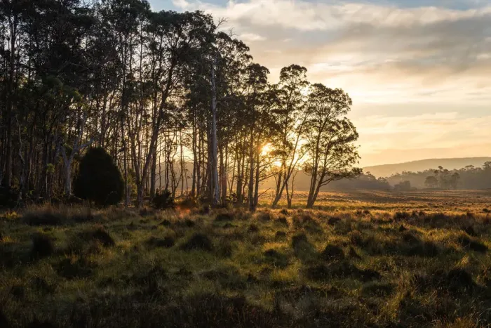 Framed Print : Overland Track at Sunset