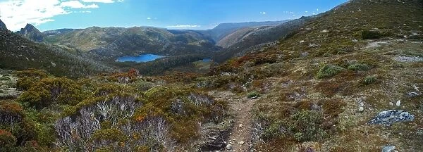 Overland track in Tasmania
