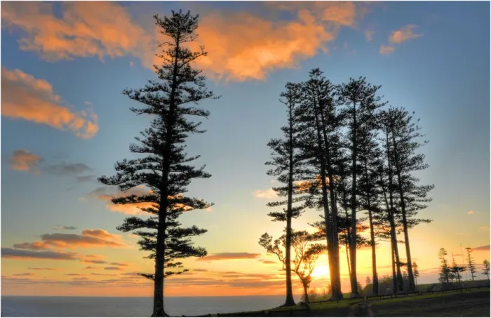 Framed Print : Pacific Sunset, Norfolk Island Framed Print : Pacific Sunset, Norfolk Island