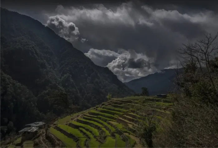 Framed Print : Paddy fields in the mountainous region of Gasa, Northern Bhutan Framed Print : Paddy fields in the mountainous region of Gasa, Northern Bhutan
