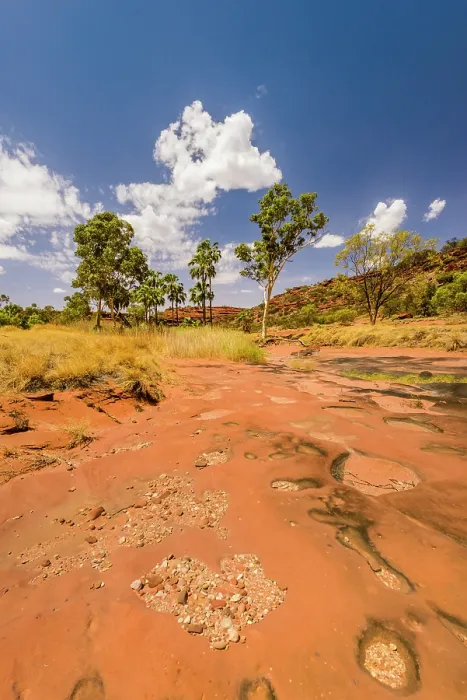 Framed Print : Palm Valley, Finke Gorge National Park, Northern Territory, Australia
