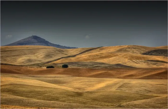 Framed Print : The Palouse, Washington state, USA