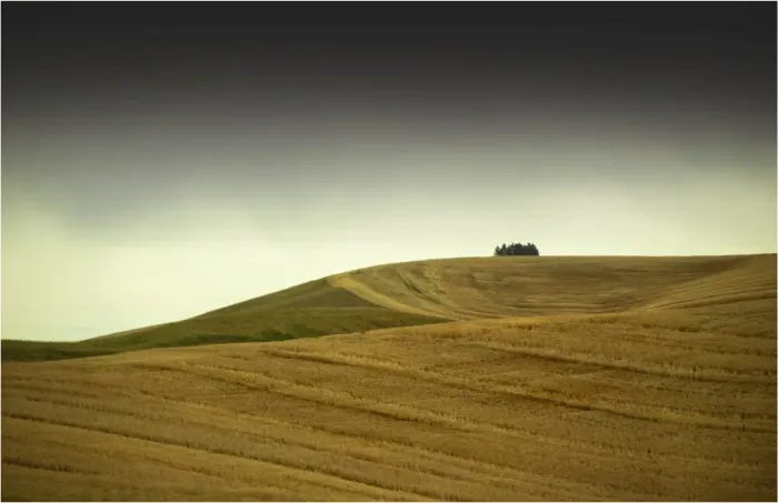 Framed Print : The Palouse, Washington state, USA
