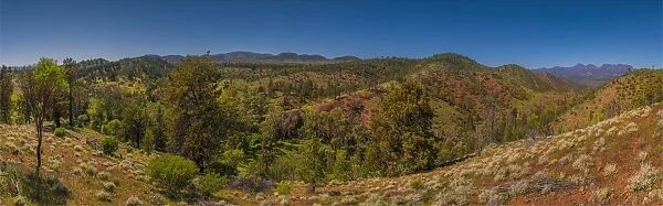 A panorama of the Glass Range, Flinders Ranges national park, South Australia