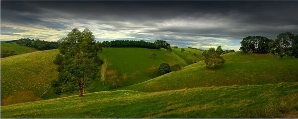 A panorama of the lush farmland in and around Dumbalk North, South Gippsland, Victoria