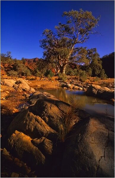 Parachilna gorge Flinders Ranges, South Australia
