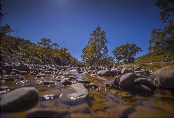 Parachilna gorge in the springtime, southern Flinders Ranges, South Australia