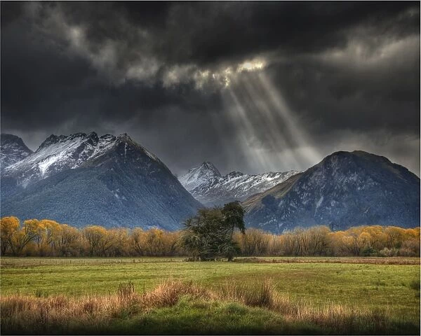 Paradise Valley, Glenorchy, South Island, New Zealand