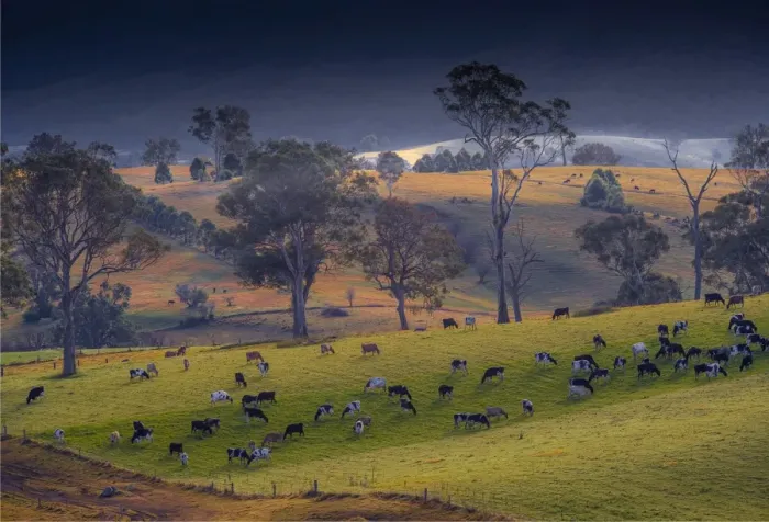 Framed Print : Pastural scenery just south of Cobargo, southern coastline of New South Wales, Australia