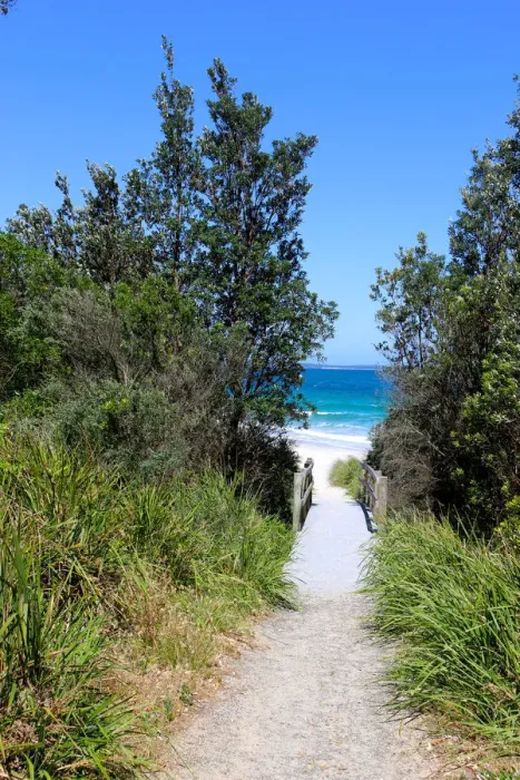 Framed Print : A path to the beach near Valencia, NSW Australia