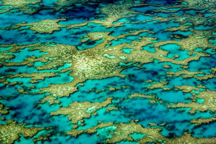 Framed Print : Patterns of Great Barrier Reef