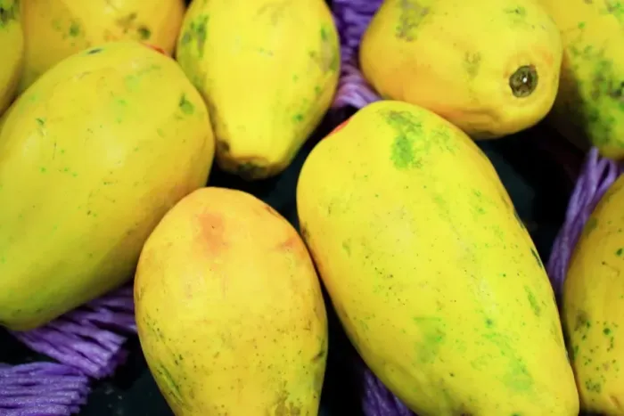 Framed Print : Payaya. Papaya