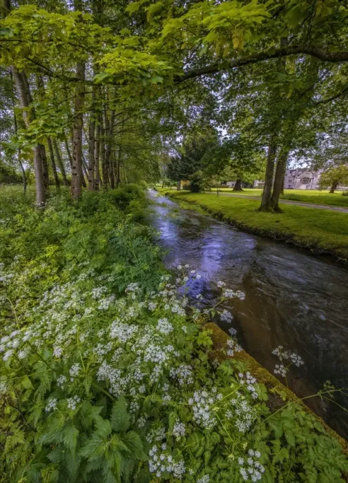 Framed Print : Piddle river Atholhampton