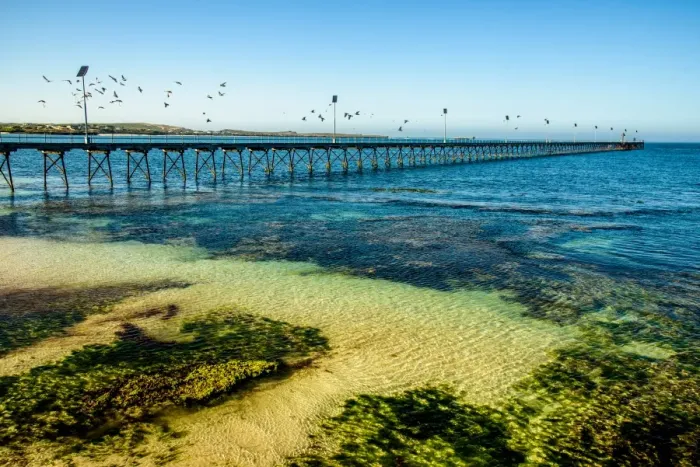 Framed Print : Pier in Elliston, South Australia Framed Print : Pier in Elliston, South Australia