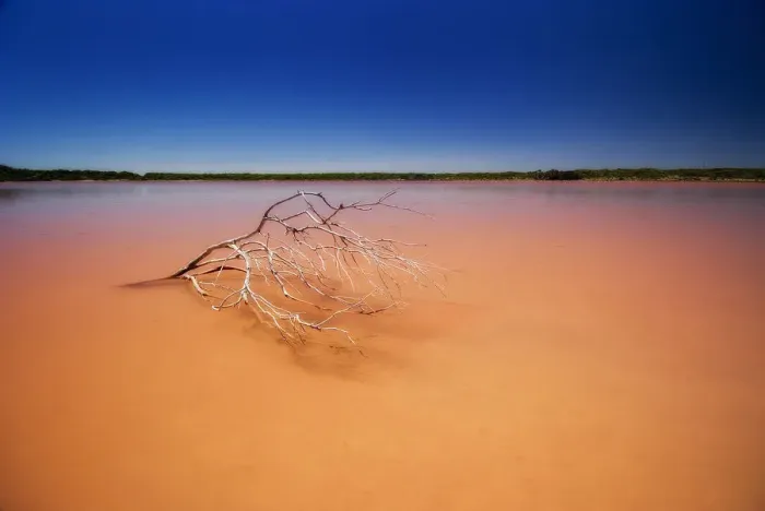 Framed Print : Pink Lake Coorong SA Framed Print : Pink Lake Coorong SA