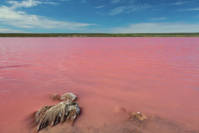 Framed Print : Pink Lake, Hutt Lagoon (Port Gregory - Western Australia)