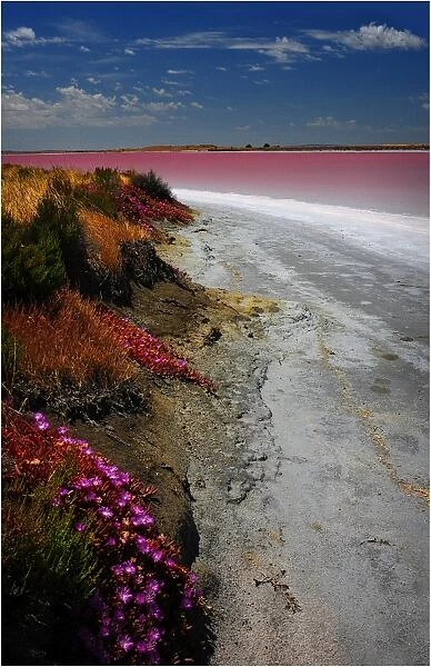 Pink Lakes Meningie, South Australia