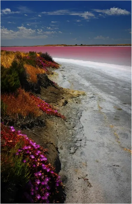 Framed Print : Pink Lakes Meningie, South Australia