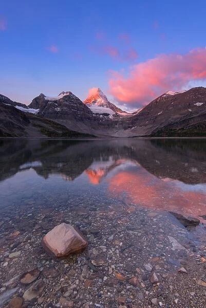 Pink sunrise at Mount Assiniboine