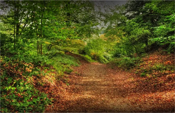 Framed Print : Pinkworth Aboretum, Surrey, England, United Kingdom