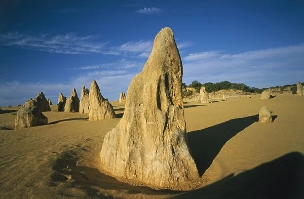 Pinnacles in Desert