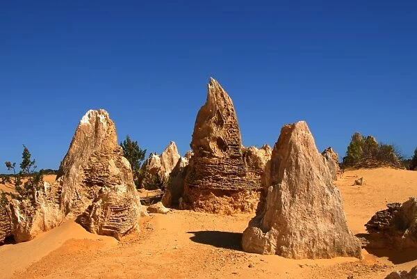 Pinnacles are limestone formations