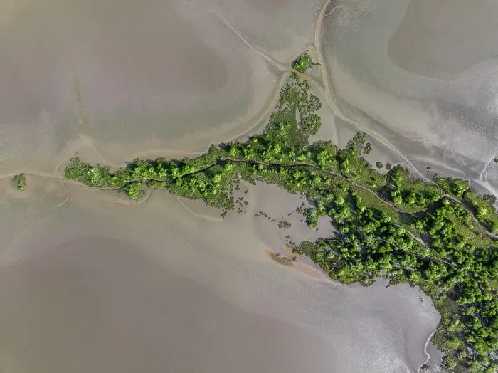 Framed Print : Plants growing on a mud flat shot from a drone perspective, Wyndham, Western Australia, Australia