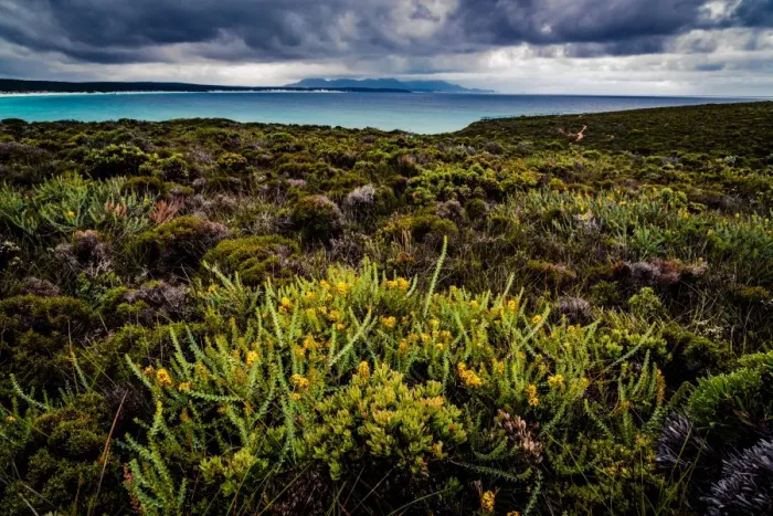 Framed Print : Point Ann in Fitzgerald River National Park