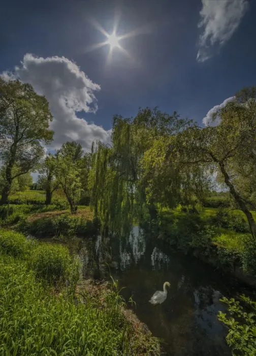 Framed Print : Pond at Spetisbury Framed Print : Pond at Spetisbury