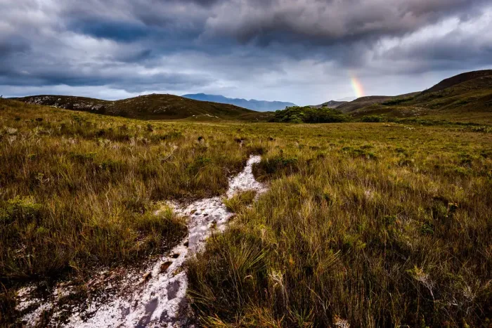 Framed Print : Port Davey track at Melaleuca Plains, Southwest Tasmania
