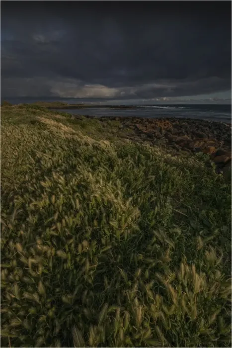 Framed Print : Port Fairy coastline, Victoria, Australia