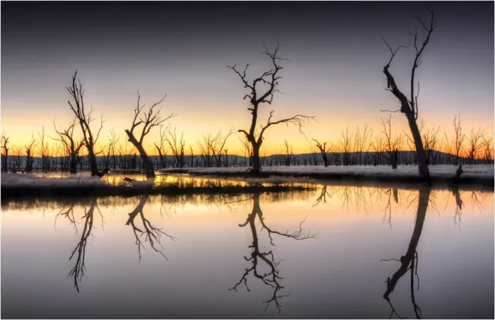 Framed Print : Pre-dawn light on the Winton wetlands, Central Victoria, Australia