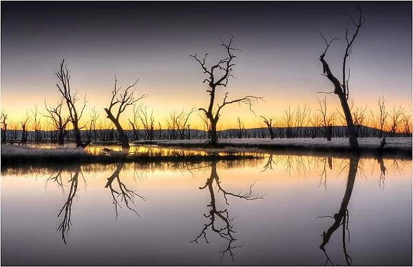 Pre-dawn light on the Winton wetlands, Central Victoria, Australia