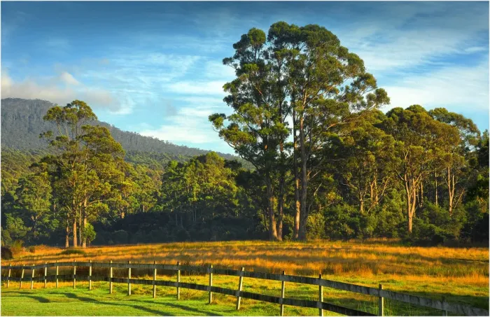 Framed Print : Pretty countryside on south Bruny Island, southern Tasmania Framed Print : Pretty countryside on south Bruny Island, southern Tasmania
