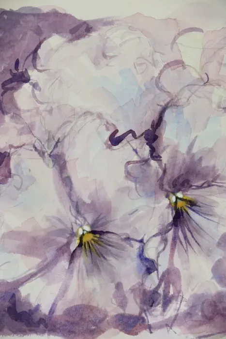 Framed Print : Pretty Mauve Pansies Watercolor Painting