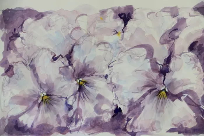 Framed Print : Pretty Mauve Pansies Watercolor Painting Framed Print : Pretty Mauve Pansies Watercolor Painting