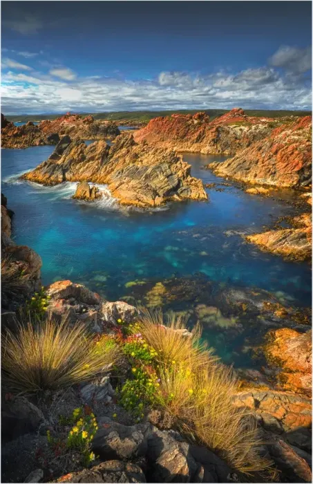 Framed Print : The pristine and wild Tarkine wilderness area and coastline, Tasmania, Australia Framed Print : The pristine and wild Tarkine wilderness area and coastline, Tasmania, Australia