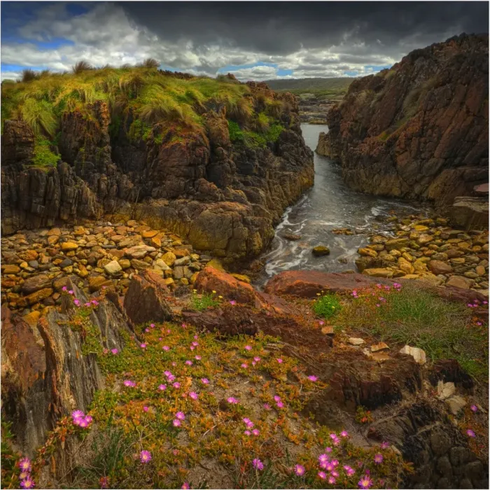Framed Print : The pristine and wild Tarkine wilderness area and coastline, Tasmania, Australia Framed Print : The pristine and wild Tarkine wilderness area and coastline, Tasmania, Australia