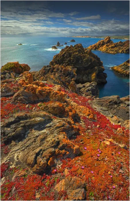 Framed Print : The pristine and wild Tarkine wilderness area and coastline, Tasmania, Australia Framed Print : The pristine and wild Tarkine wilderness area and coastline, Tasmania, Australia